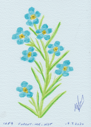 1289-FORGET-ME-NOT
