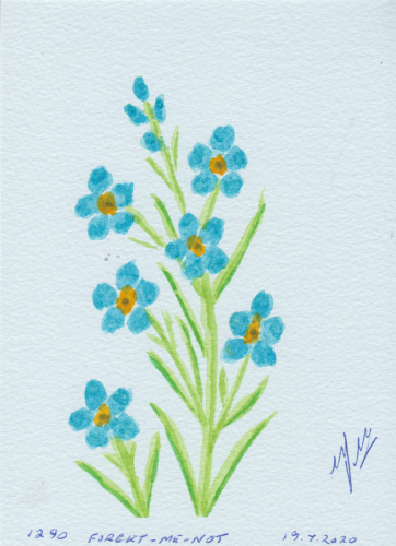1290-FORGET-ME-NOT