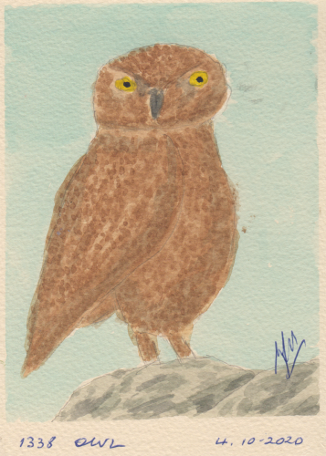 1338-OWL