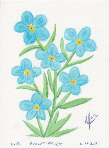 1481-FORGET-ME-NOT