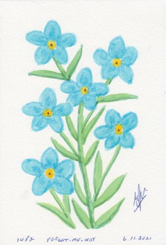 1482-FORGET-ME-NOT