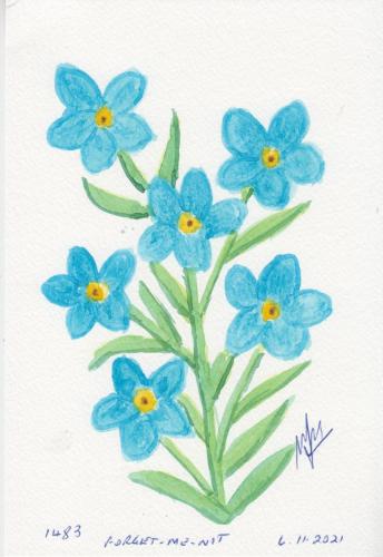 1483-FORGET-ME-NOT