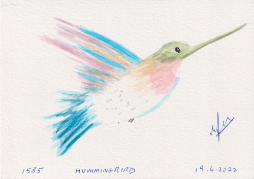 1585-hummingbird
