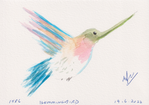 1586-hummingbird