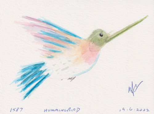 1587-hummingbird
