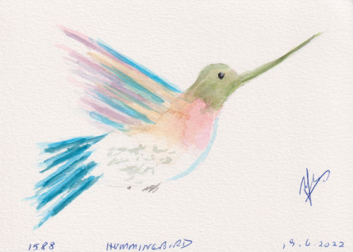 1588-hummingbird