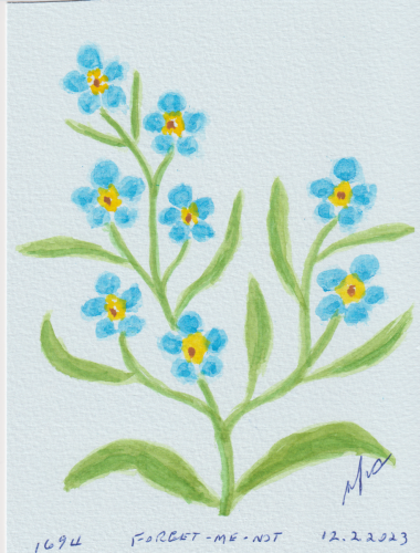 1694-FORGET-ME-NOT