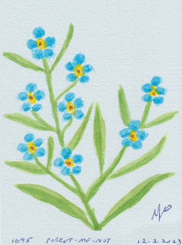 1695-FORGET-ME-NOT