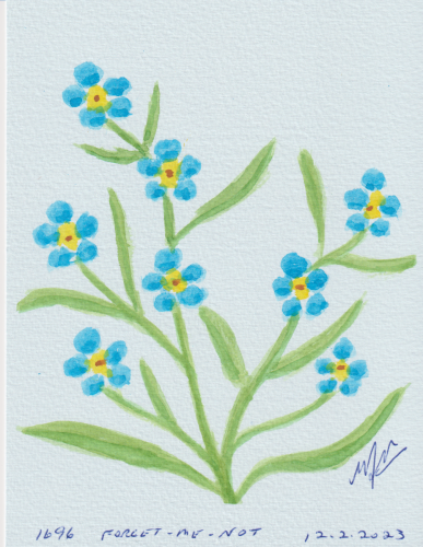 1696-FORGET-ME-NOT