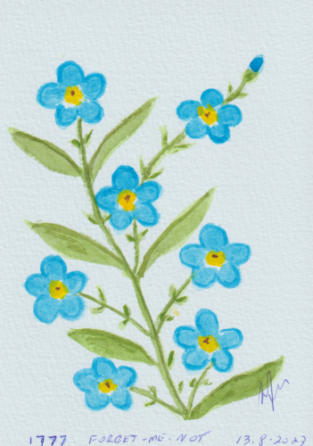 1777-FORGET-ME-NOT