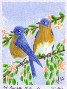 559 BLUEBIRDS NO. 2